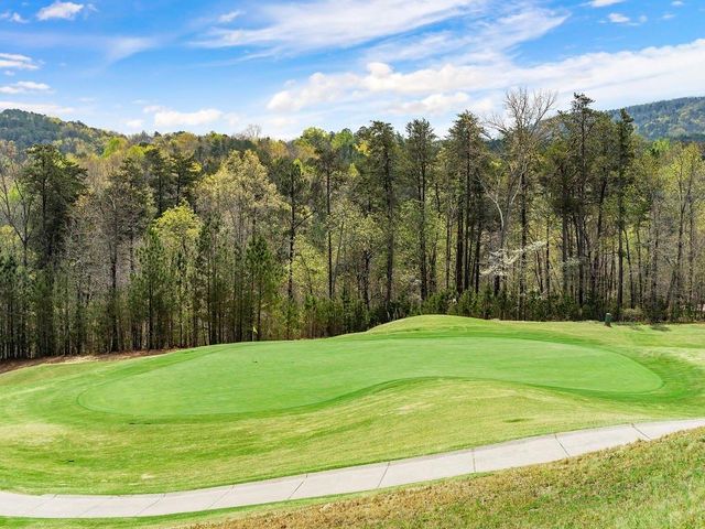 218 Chickasaw Drive, Waleska, GA 30183
