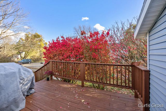 320 Pine Street NE, Cedar Springs, MI 49319