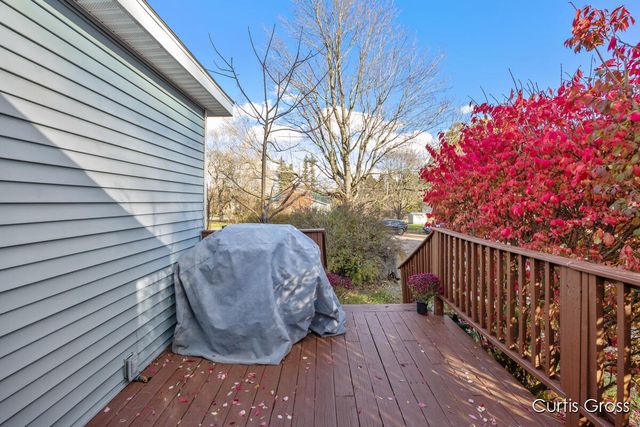 320 Pine Street NE, Cedar Springs, MI 49319