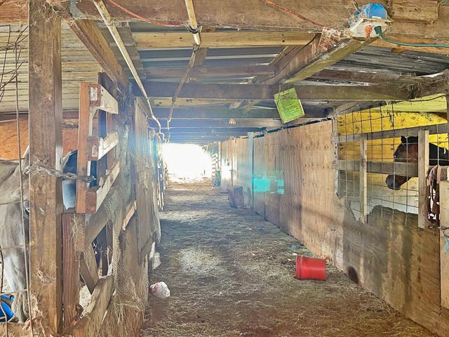 12623 Ann Louise Road, Houston, TX 77086