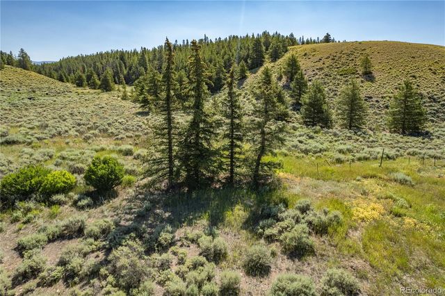 12340 US Highway 24, Leadville, CO 80461