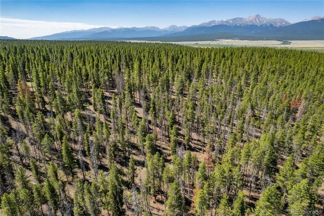 12340 US Highway 24, Leadville, CO 80461