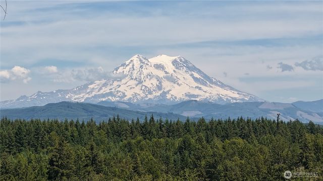 38922 Madrona Drive E, Roy, WA 98580