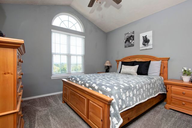 20 Clear Cove Drive, Reeds Spring, MO 65737