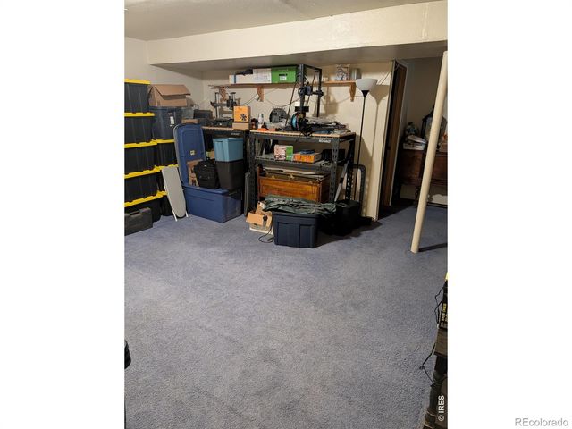 1171 Norma Court, Milliken, CO 80543