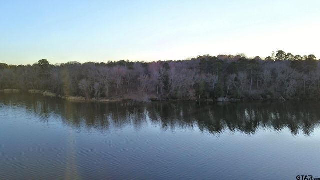 3266 Shadow Pine DR Lot 60, Larue, TX 75770