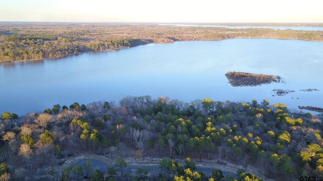3266 Shadow Pine DR Lot 60, Larue, TX 75770