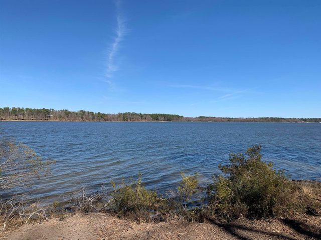3266 Shadow Pine DR Lot 60, Larue, TX 75770