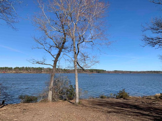 3266 Shadow Pine DR Lot 60, Larue, TX 75770