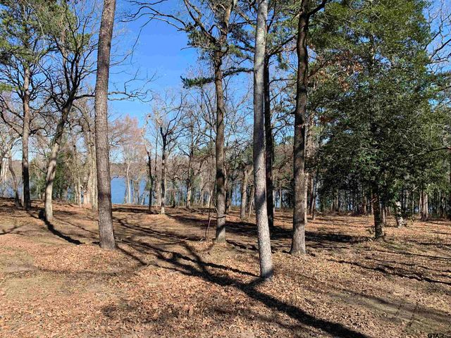 3266 Shadow Pine DR Lot 60, Larue, TX 75770