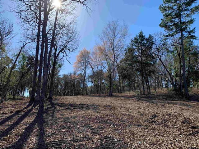 3266 Shadow Pine DR Lot 60, Larue, TX 75770