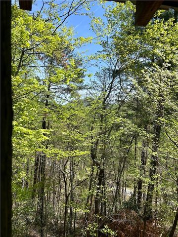 107 Brendart Hill Road, Sunset, SC 29685