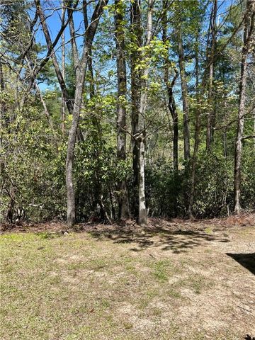 107 Brendart Hill Road, Sunset, SC 29685