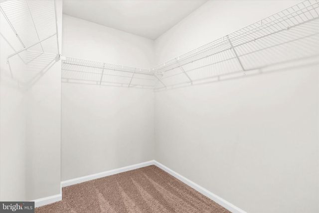 8139 BARTHOLOMEW CT, Baltimore, MD 21206