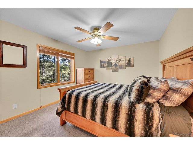 502 County Road 1034, Bailey, CO 80421
