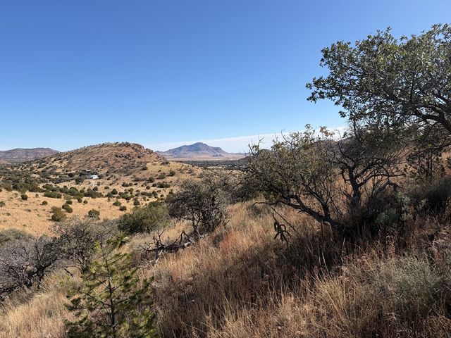 102 Oak Ridge Drive, Fort Davis, TX 79734