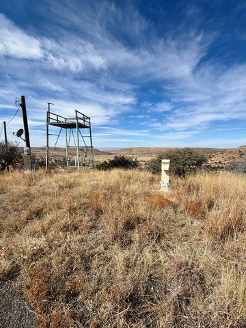 102 Oak Ridge Drive, Fort Davis, TX 79734