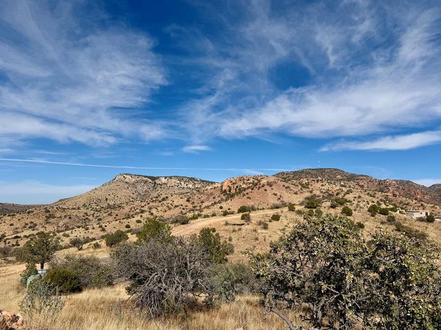 102 Oak Ridge Drive, Fort Davis, TX 79734