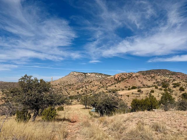 102 Oak Ridge Drive, Fort Davis, TX 79734