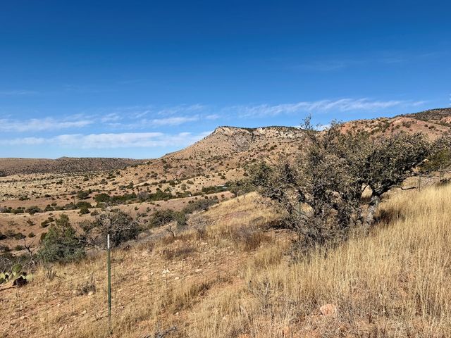 102 Oak Ridge Drive, Fort Davis, TX 79734