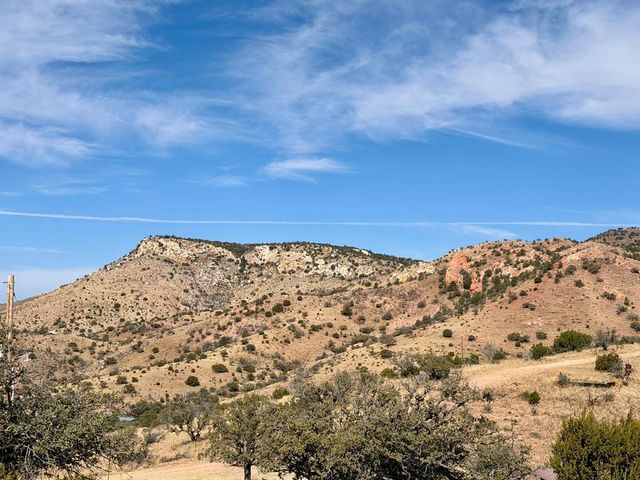 102 Oak Ridge Drive, Fort Davis, TX 79734