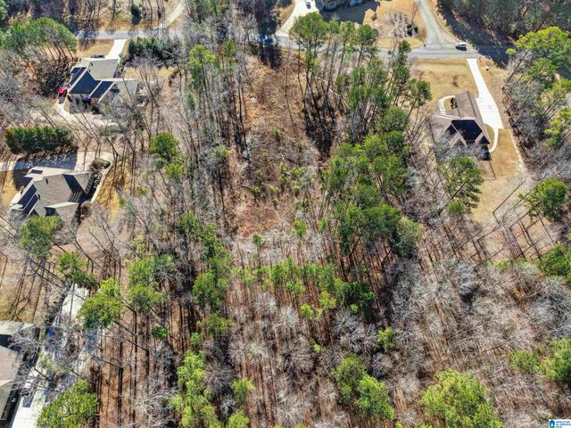 100 GRACE WAY, Odenville, AL 35120