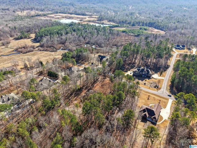 100 GRACE WAY, Odenville, AL 35120