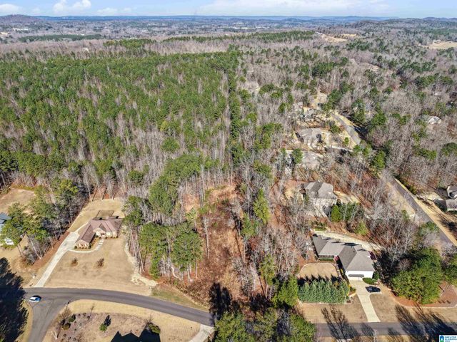 100 GRACE WAY, Odenville, AL 35120