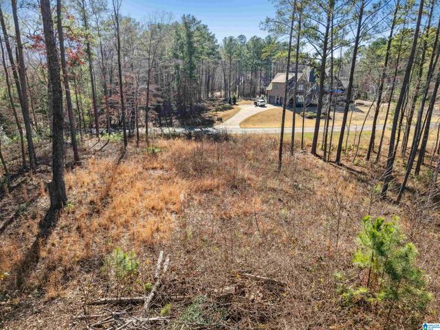 100 GRACE WAY, Odenville, AL 35120