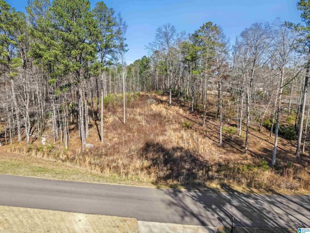 100 GRACE WAY, Odenville, AL 35120