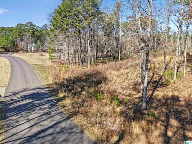 100 GRACE WAY, Odenville, AL 35120