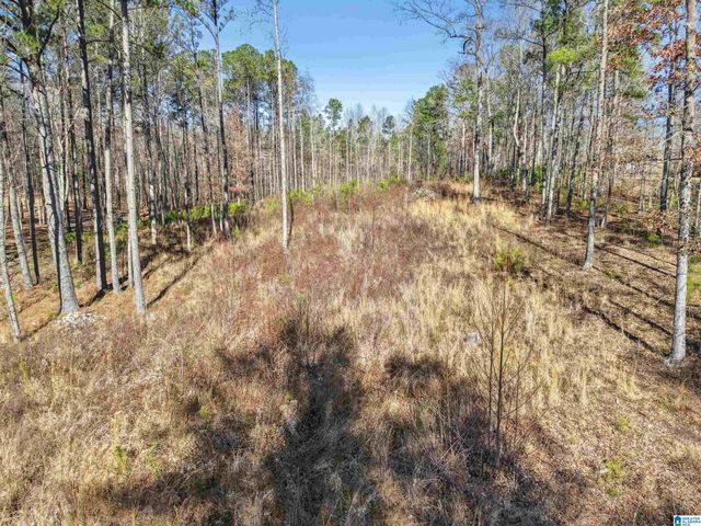 100 GRACE WAY, Odenville, AL 35120