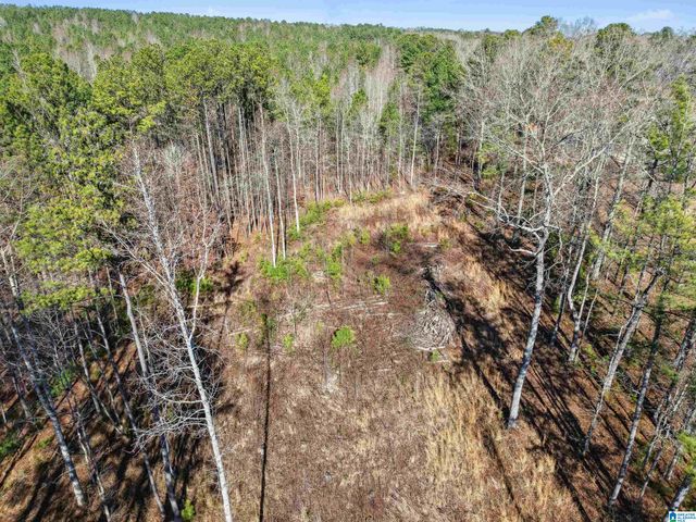 100 GRACE WAY, Odenville, AL 35120