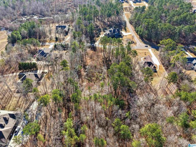 100 GRACE WAY, Odenville, AL 35120