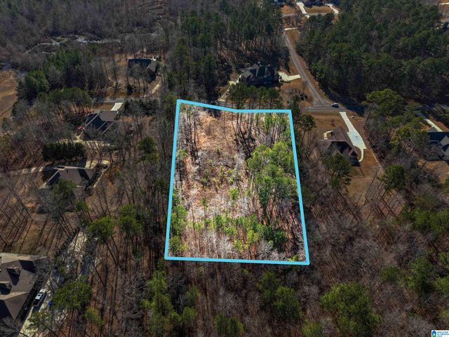 100 GRACE WAY, Odenville, AL 35120