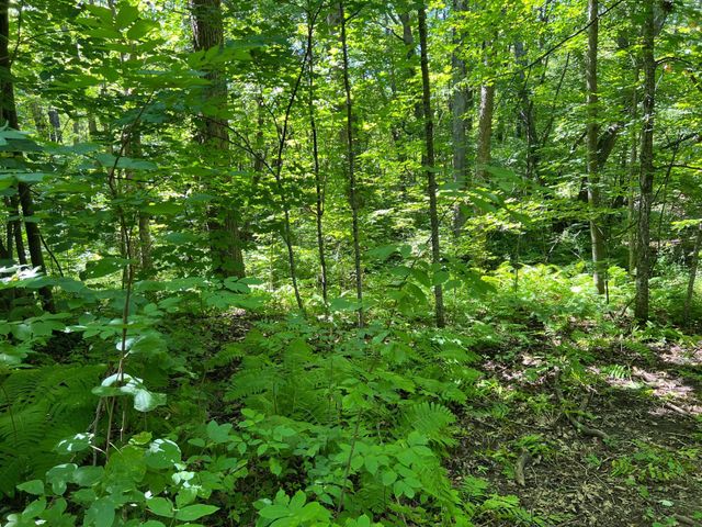00000 River Island Road, Pine City Twp, MN 55063