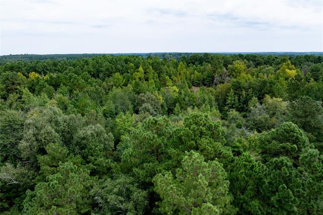 22 Acr Private Road 5040, Grapeland, TX 75844