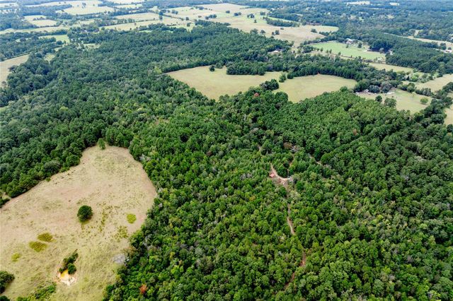 22 Acr Private Road 5040, Grapeland, TX 75844