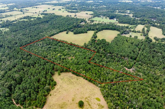 22 Acr Private Road 5040, Grapeland, TX 75844
