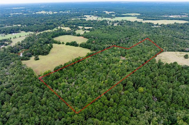 22 Acr Private Road 5040, Grapeland, TX 75844