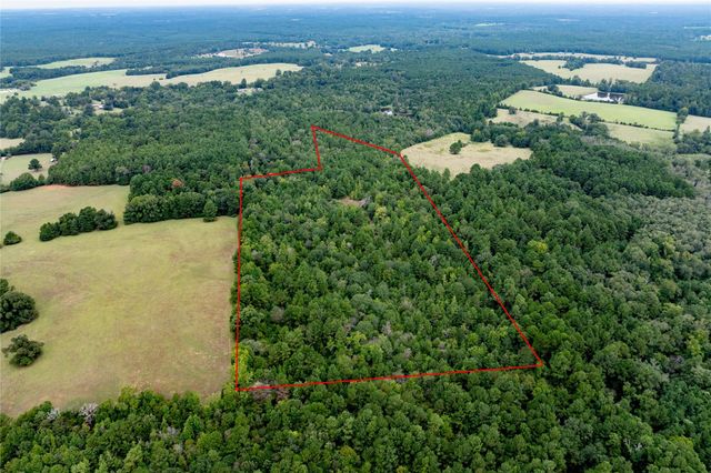 22 Acr Private Road 5040, Grapeland, TX 75844
