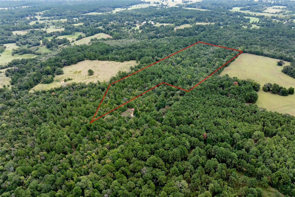 22 Acr Private Road 5040, Grapeland, TX 75844