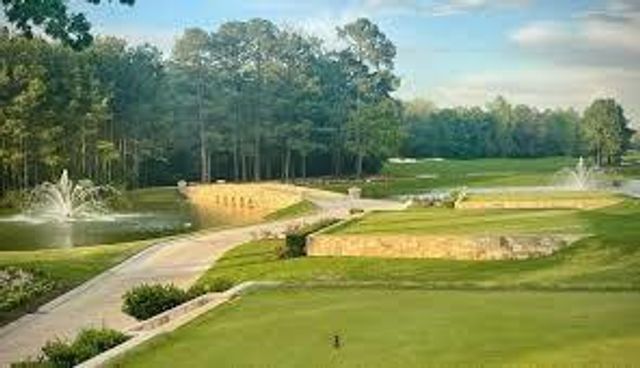 106 Joshuas Place, Montgomery, TX 77316