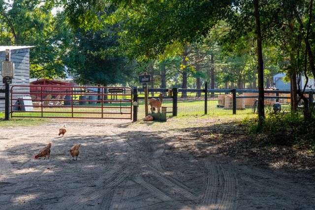 7021 Sounding Lane, Johns Island, SC 29455