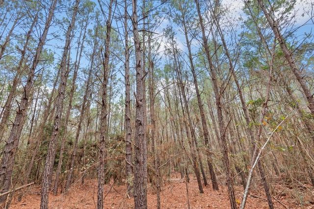 12895 County Road 201, Plantersville, TX 77363