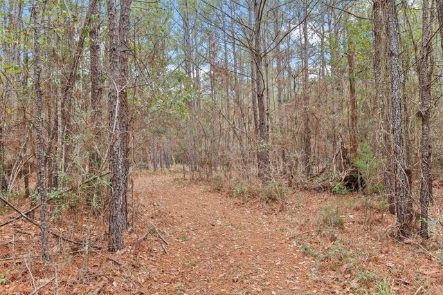 12895 County Road 201, Plantersville, TX 77363