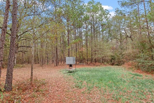 12895 County Road 201, Plantersville, TX 77363