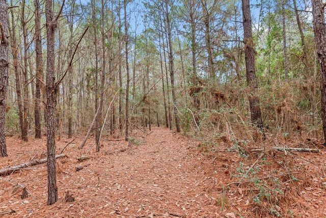 12895 County Road 201, Plantersville, TX 77363