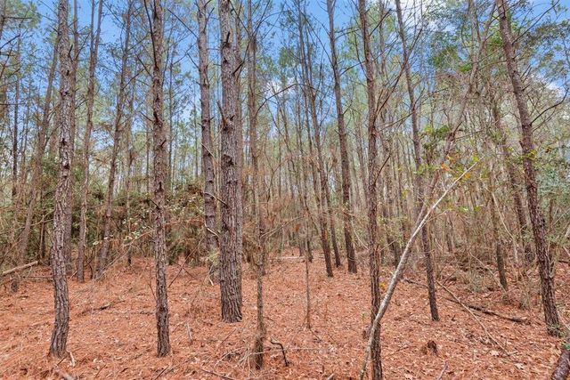 12895 County Road 201, Plantersville, TX 77363