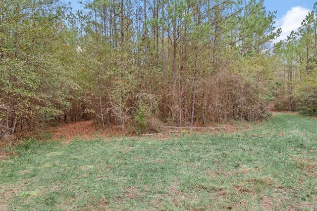 12895 County Road 201, Plantersville, TX 77363